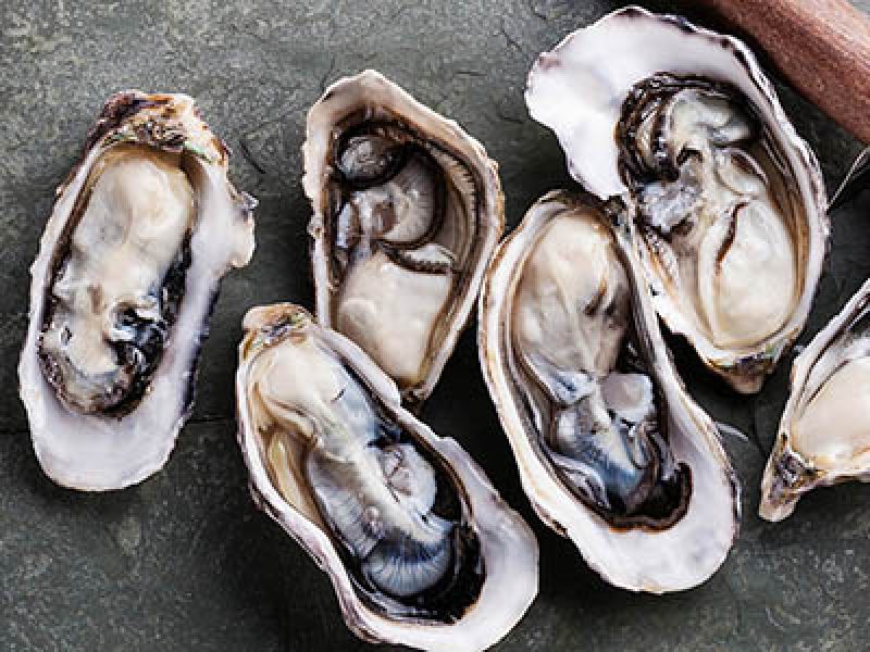 Huîtres Breuil, our range of quality oysters